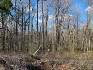 1.17 Acres at  Pepper Pot Place - Tax Map 92 81