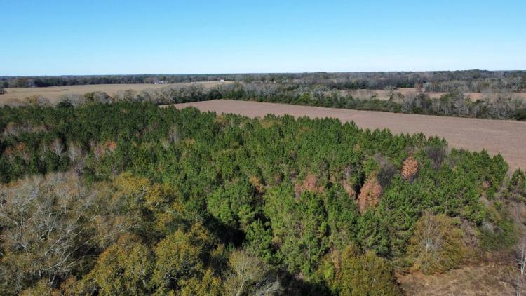 83.00 Acres at 0 County Road 33