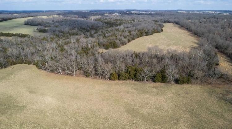 Combination Timber And Open Hunting Farm For Sale