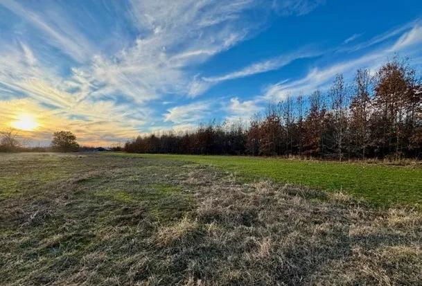 383 Acres in Carroll County in Greenwood, MS