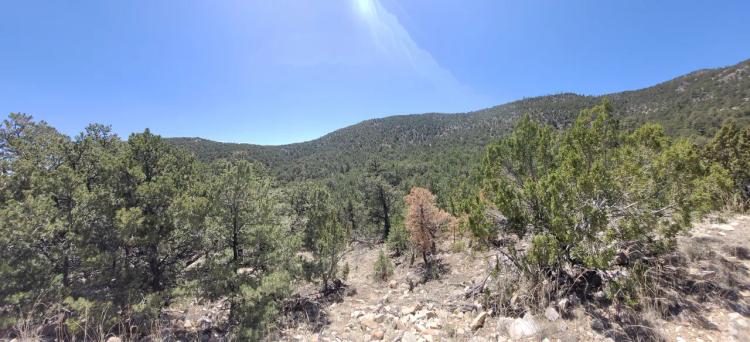 Santa Fe County New Mexico 5 acres in the Mountains - Seasonal Creeks