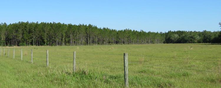 Knight Taylor Ranch – South Tract