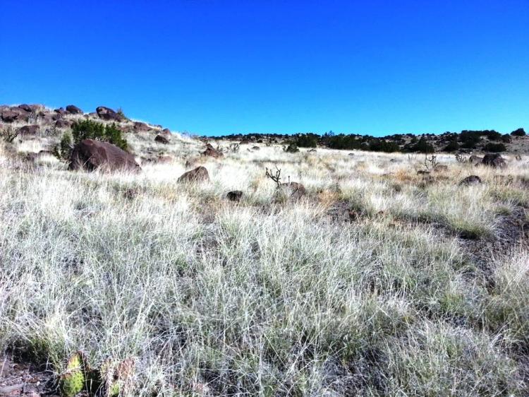 On the Hill overlooking town of Grants New Mexico 4 lots for 1 price