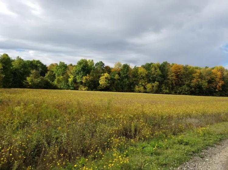 80 acres Tillable Farmland on Clyde River in Galen NY River Road