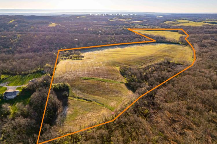 101± Acre Income Producing Tillable Tract with Hunting for Sale – Lincoln County 