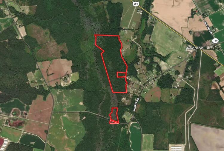 UPDATED!!  115.32 acres of Hunting and Recreational Land For Sale in Robeson County NC!