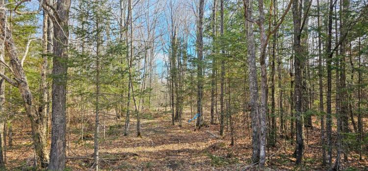 3.44 Acres at 2 County Road W