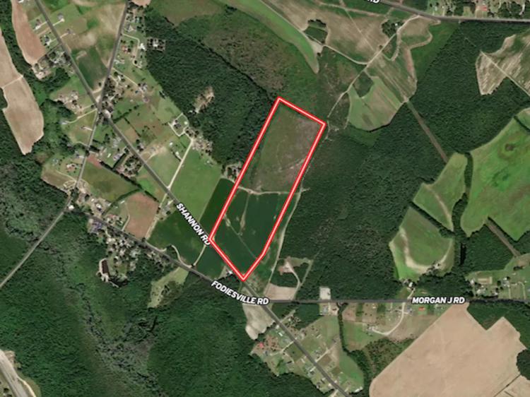 51.88 acres of Farm and Timberland For Sale in Robeson County NC!