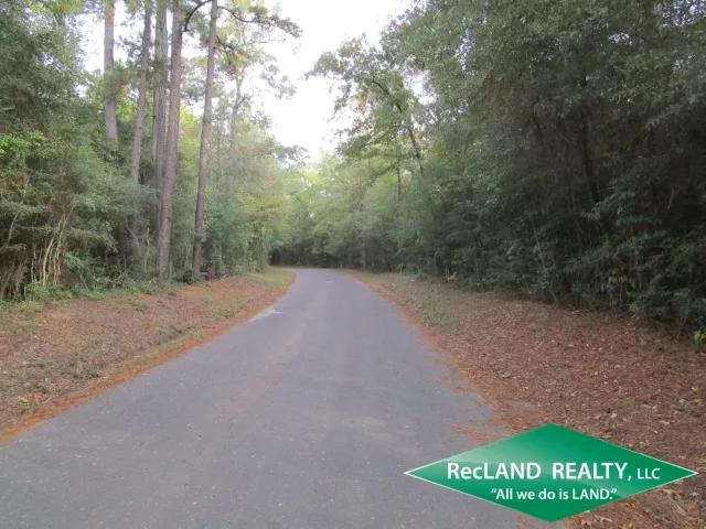 10.4 ac - Wooded Home Site Tract - PRICE REDUCED