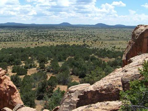 Incredible views from Mesa Top Property with Trees - Near Ramah New Mexico