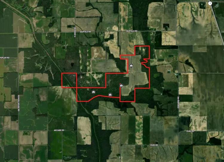  390± Acre Income Producing Hunting Property for Sale – Gallatin County Illinois