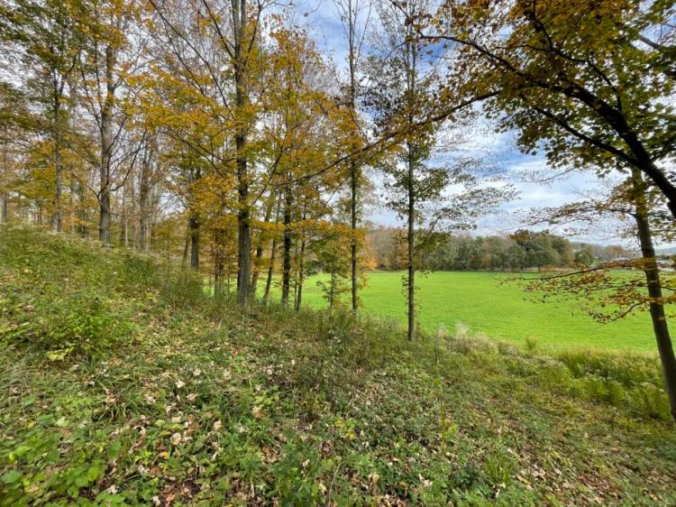 2 acres Building Lot with Fields and Woodlands in Woodhull NY Colvin Hill Road with Owner Financing