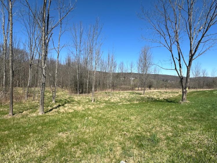 2 acre Building Lot in Grove NY CR15B