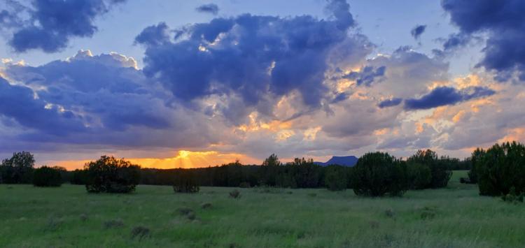 Seligman Arizona Land For Sale
