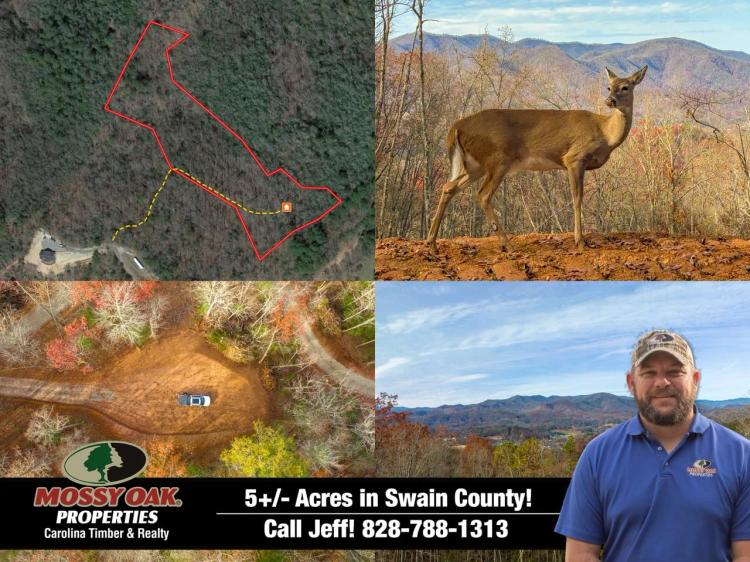 Lot 2 - Spectacular Views in Bryson City Limits!
