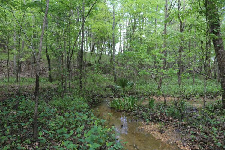Beautiful River Lot With A Small Creek