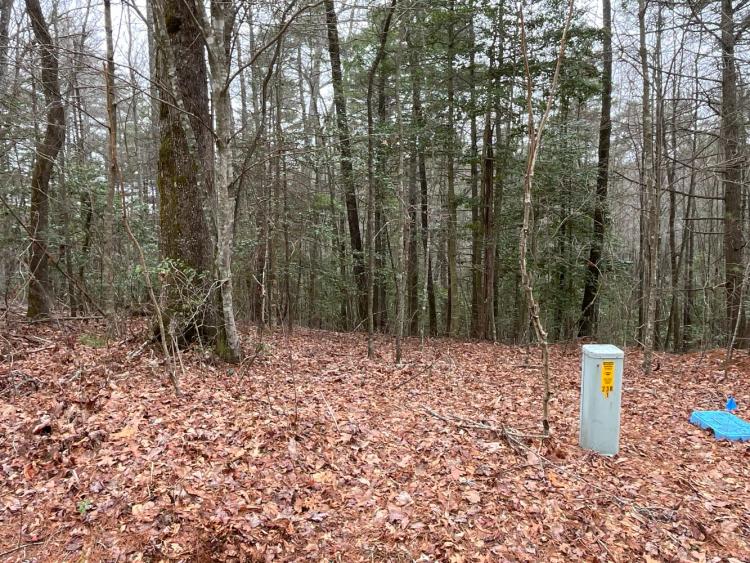 0.86 Acres at 9999 Upper Whitewater Road