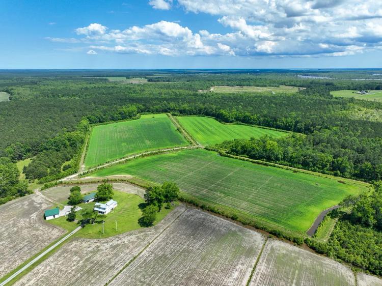 280 acres of Land and Farmhouse For Sale in Tyrrell County NC!