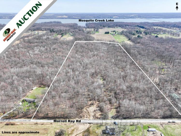 Auction - 37.4 acres - Trumbull County