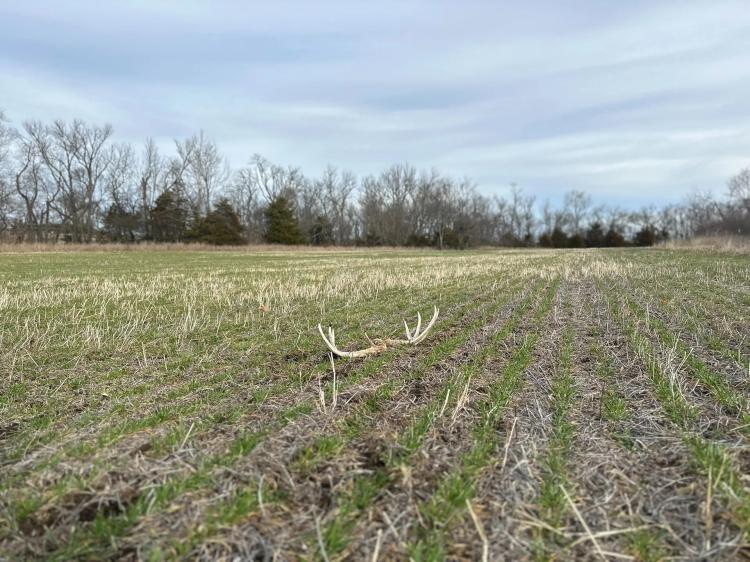 160± Acre Kansas Tract with Hunting and Tillable Ground for Sale – Bourbon County 