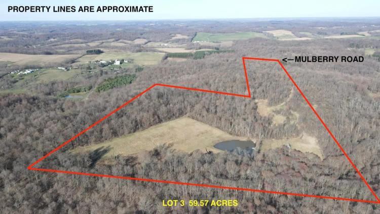 Mulberry Rd - 59 acres - Licking County