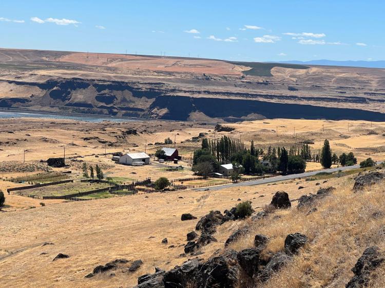 Columbia Gorge Cattle Ranch