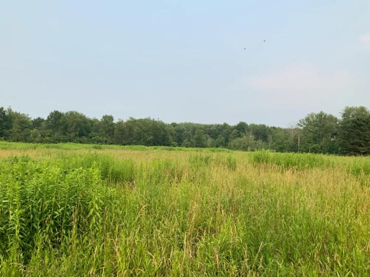 152 acres Land with Commercial Zoning Whitestown NY