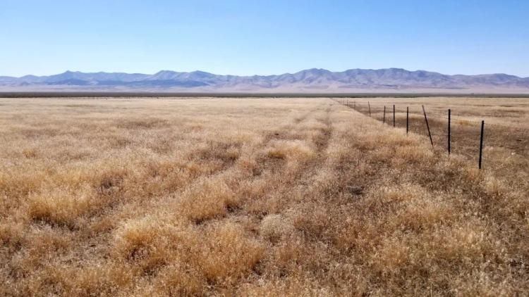 60 Acres South of Winnemucca * Grass Valley