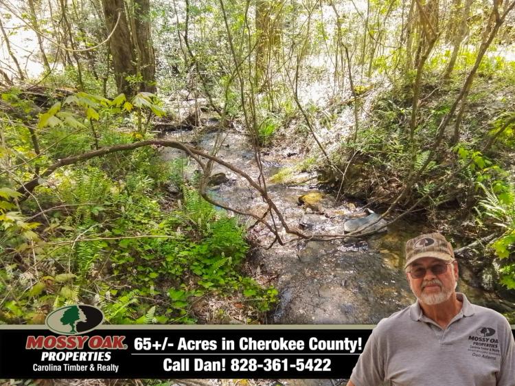 65+/-Ac Unrestricted & Borders USFS with Mountain Creek!