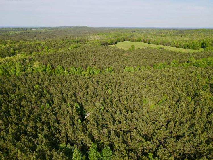 38+/- Wooded Acres