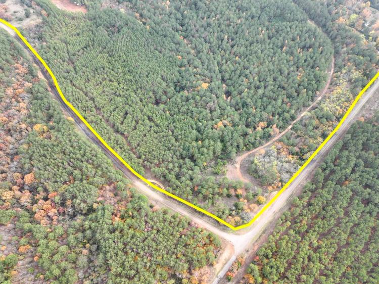 146 Acres | CR 2115 | Tract 1011