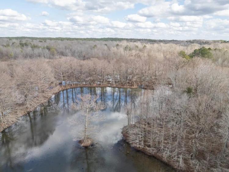 Hunting Land For Sale in Montgomery County MS