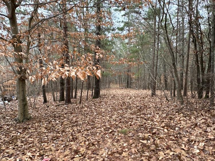 2.84 Wooded Private Acres 