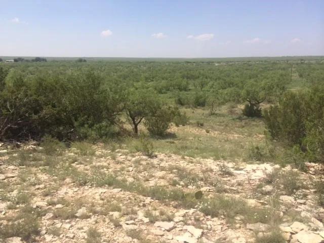 West Texas Land for Sale in Irion County