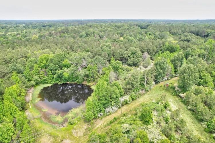 Hunting and Timber Property Just over the LA Line in McComb