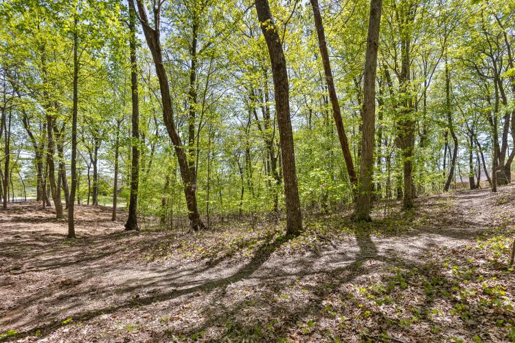 3.16 Acres of Tranquil Lookout Mountain
