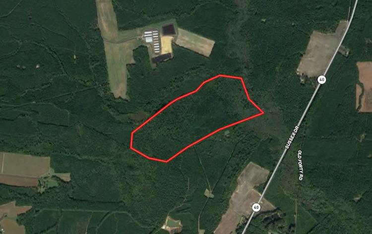 150 Deeded acres of Hunting / Timber & Investment Land For Sale in Sussex County VA!