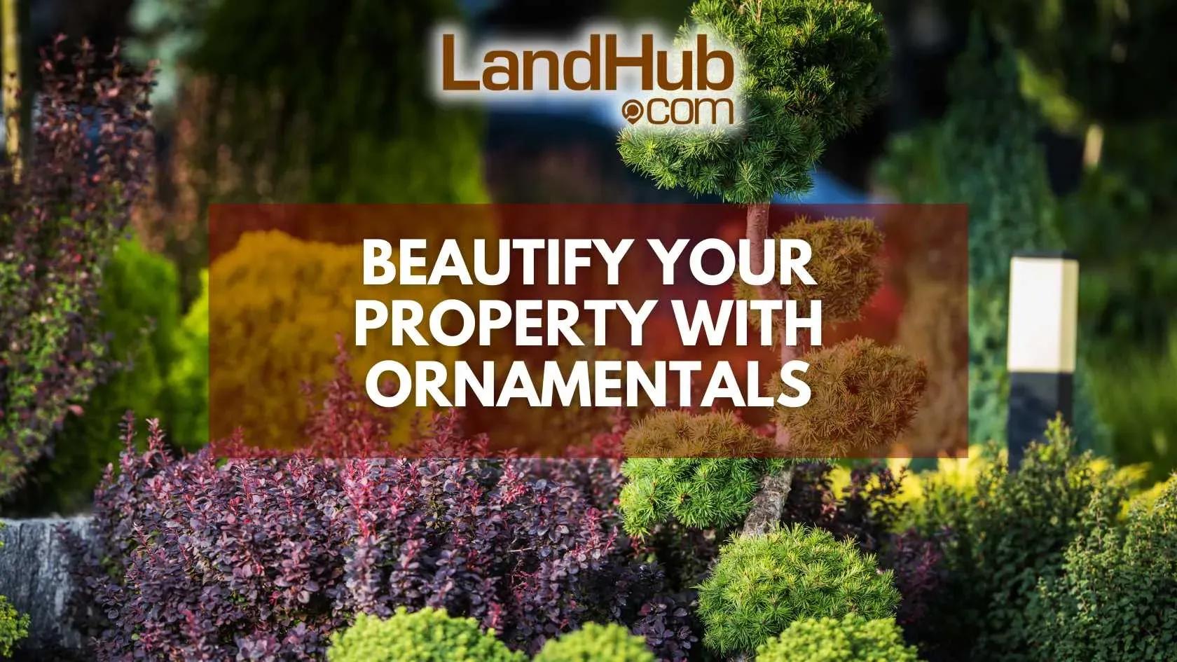 beautify your property with ornamentals