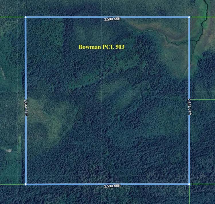 File  143SP - 160.5 Acres in Bowman Township PCL 503