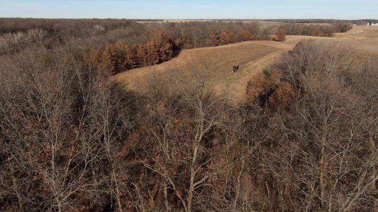 Macoupin County, IL 80 Acres of Land For Sale