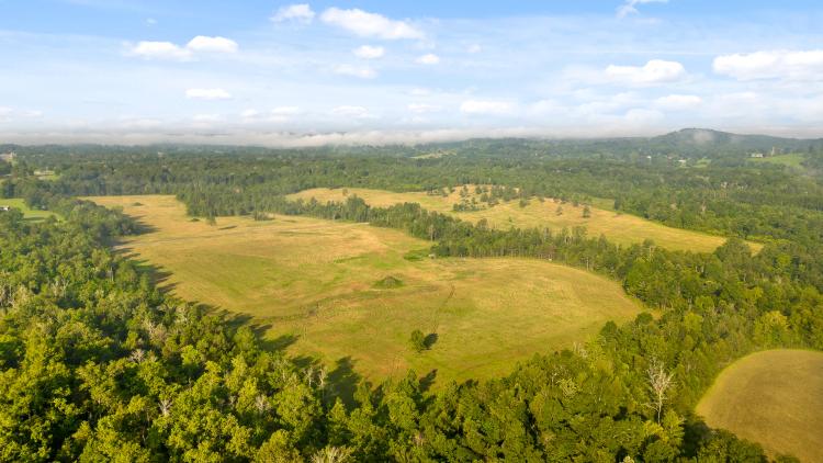 111 acres - Country Retreat | Development Opportunity - Near Chattanooga