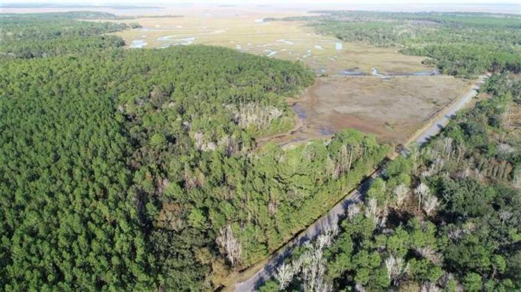 Marsh Front Land for Sale in Camden County, GA