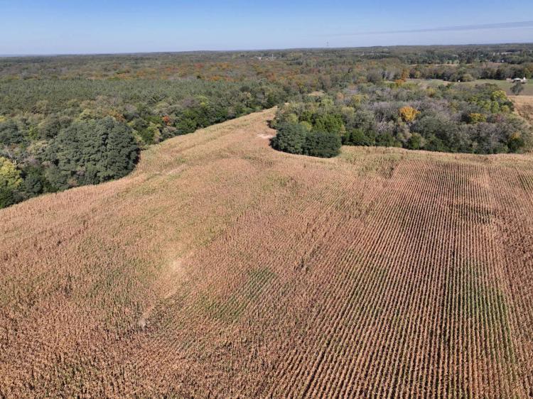 Walworth County, Wisconsin 65 Acres For Sale(SALE PENDING)