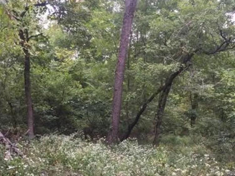 Vacant Illinois Land for Sale – Williamson County