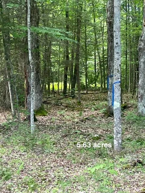 5.6 acre Building Lot with Twin Ponds Lake Access in the Northern Adirondack Mountains