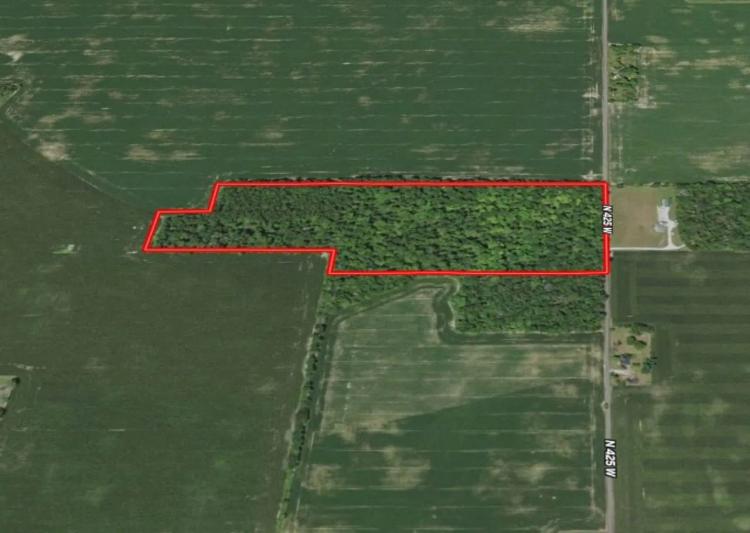 30 Acres Woods - Henry County, IN