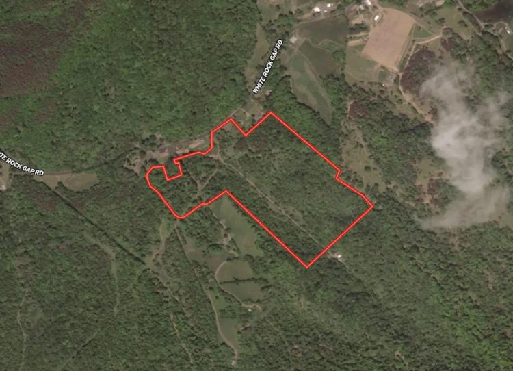 UNDER CONTRACT!!  43 acres of Timber and Hunting Land in Alleghany County VA!