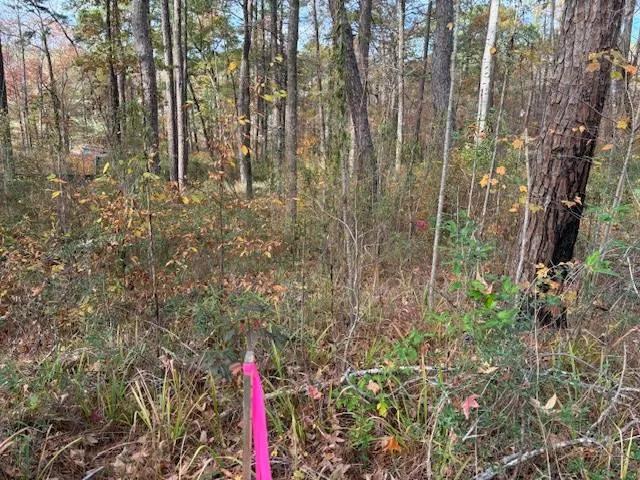 0.56 Acres at 000 Loggers Tr