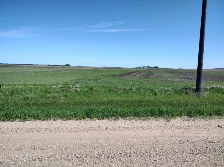 466.23 Acres at TBD County Road 6