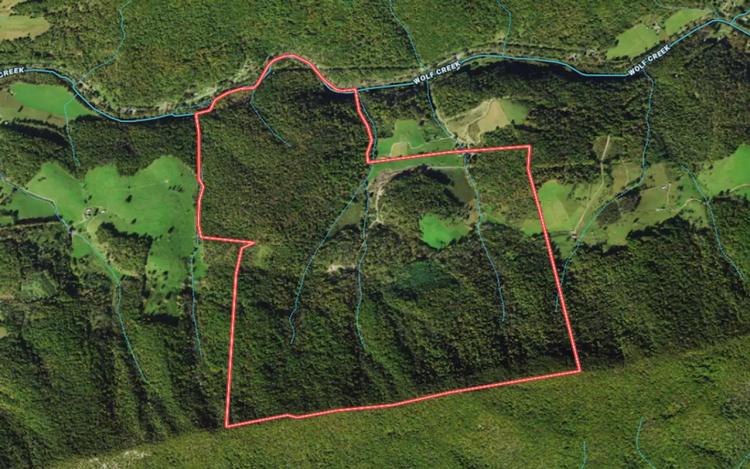590 Acres of Residential / Farm and Hunting Land For Sale in Bland County VA!